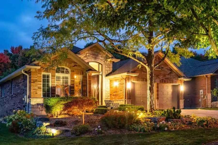 Tree Uplighting in Rowlett